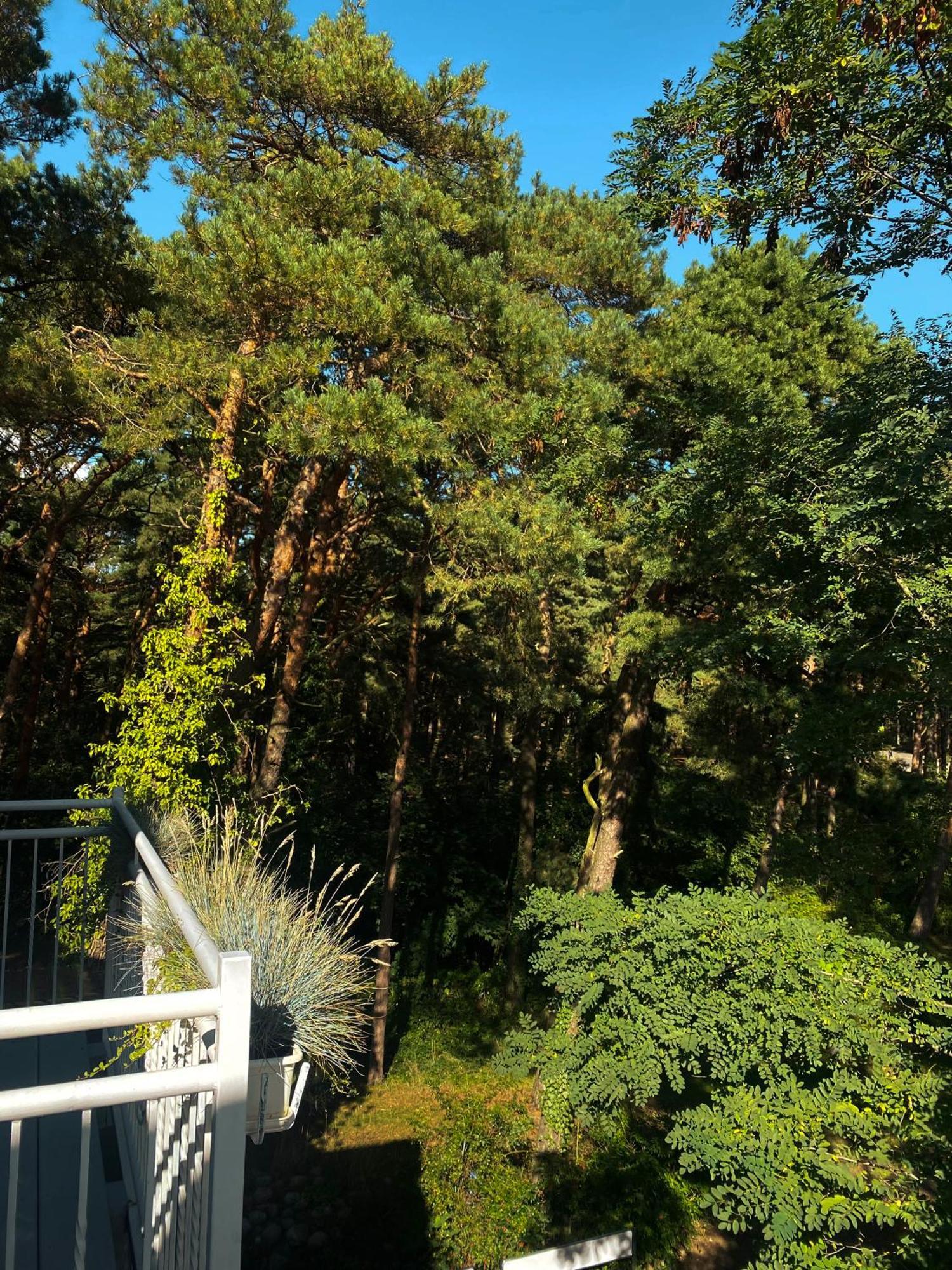 Orbisa Pokoje I Apartamenty Łeba Buitenkant foto